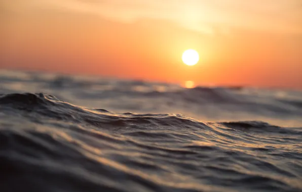 Picture beach, sky, sea, ocean, coast, sunset, water, cloud