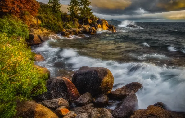 Wave, trees, landscape, storm, nature, lake, stones, USA