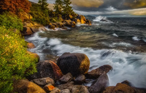 Picture wave, trees, landscape, storm, nature, lake, stones, USA