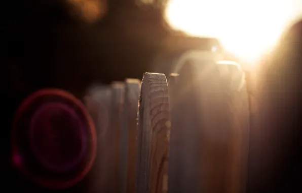 Picture the sun, macro, rays, the fence, wooden