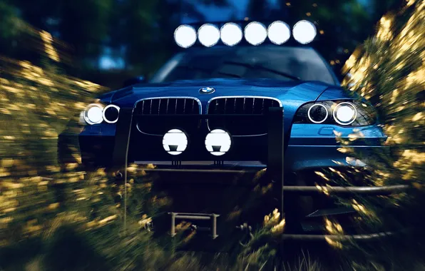 HDR, BMW, Flower, Game, SUV, X5M, Bush, Offroad