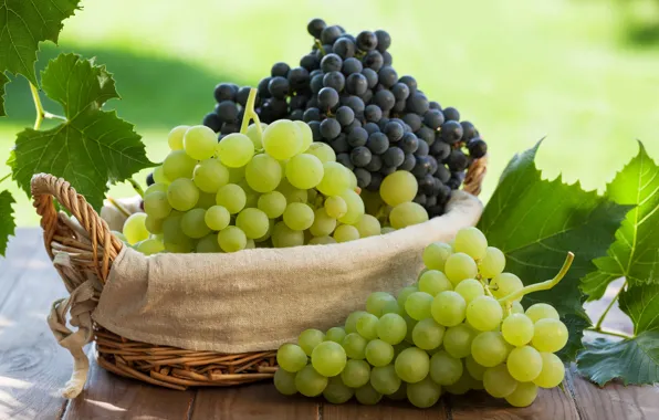 Picture leaves, grapes, basket