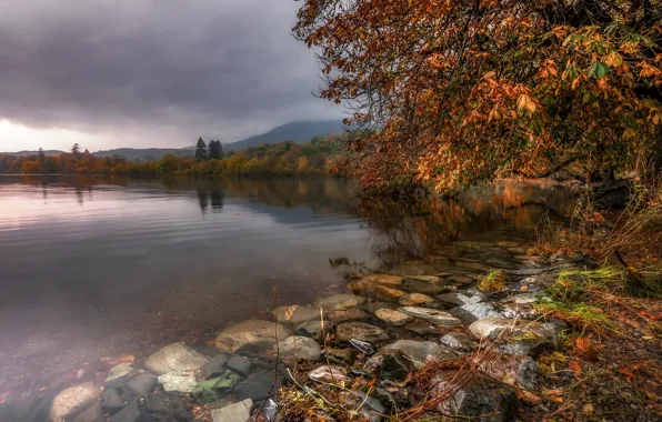 Picture autumn, lake, Lake District, Cumbria