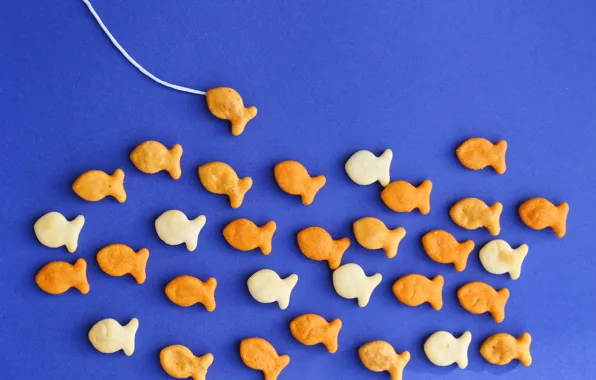 Picture fish, background, fishing, cookies, crackers