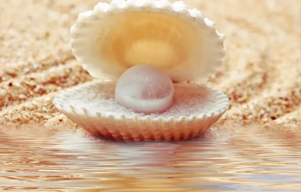 Sand, water, shell, umzug