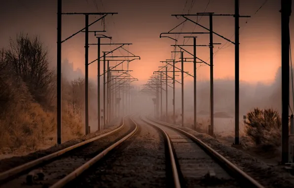 Picture night, fog, railroad