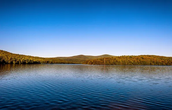 Summer, landscape, nature, lake