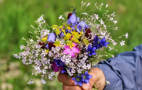 Summer, flowers, Bouquet