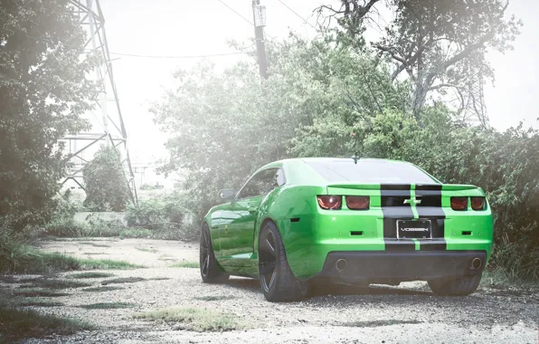 Picture trees, post, green, camaro, chevrolet, back, Camaro, high-voltage support