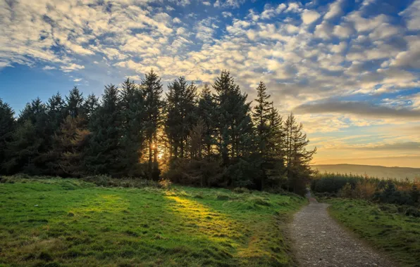 Landscape, nature, beauty