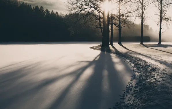 Winter, light, river, morning