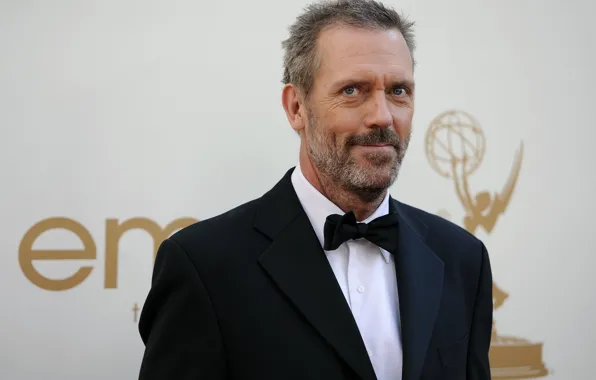 Look, Hugh Laurie, Hugh Laurie, actor, musician, actor, writer, writer
