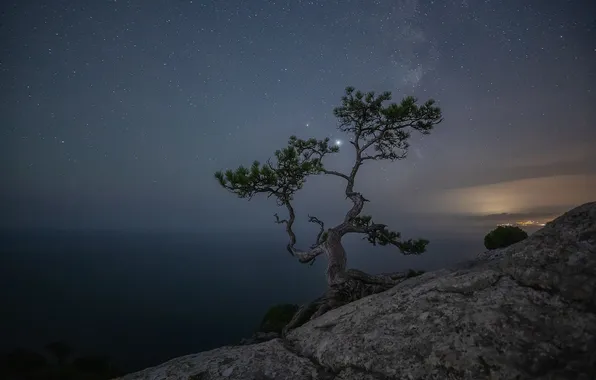 Picture peak Space, Alexander Pashenichev, Starry Night