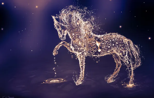 Water, drops, animal, horse, horse, art