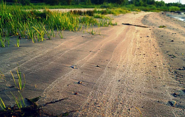 Sand, beach, grass, water, the sun, nature, Rosa, river