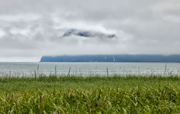 Picture sea, greens, grass, mountains, fog, coast, Russia, Kamchatka
