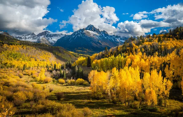 Picture autumn, clouds, trees, landscape, mountains, nature, beauty, Colorado