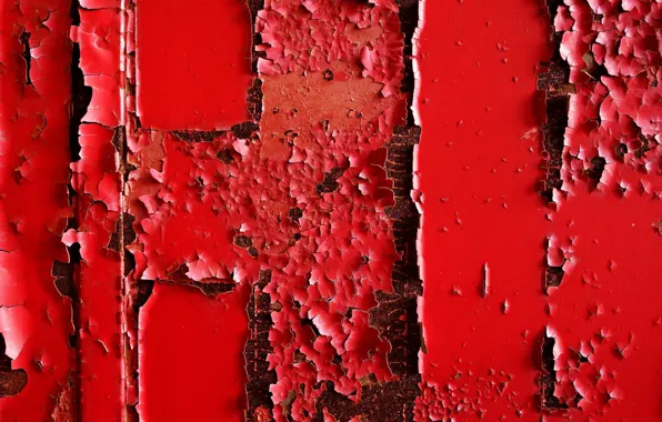 Background, wall, texture