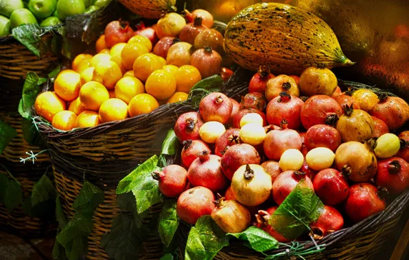 Leaves, oranges, harvest, fruit, a lot, grenades, melon, basket