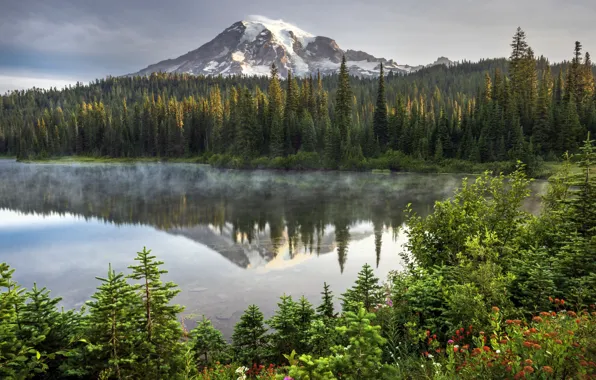Forest, mountains, shore, pond