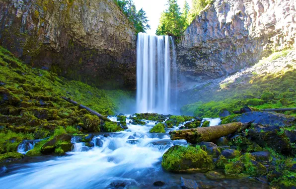 Greens, forest, trees, rock, stones, waterfall, moss