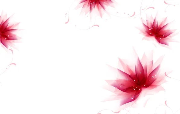 Flowers, Wallpaper, vector, petals