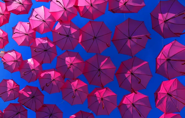 The sky, background, umbrellas
