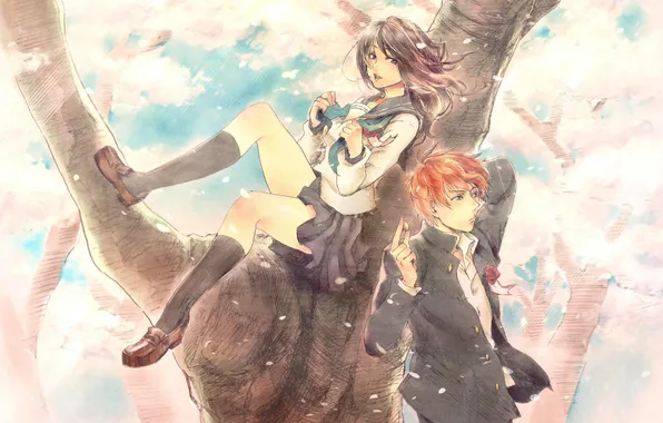 Girl, tree, anime, petals, Sakura, art, form, guy