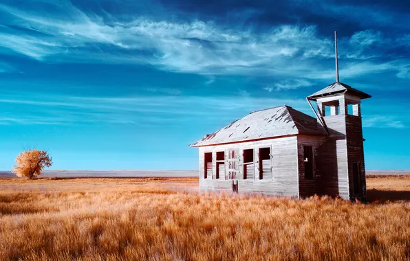 Field, autumn, the sky, grass, clouds, trees, foliage, horizon