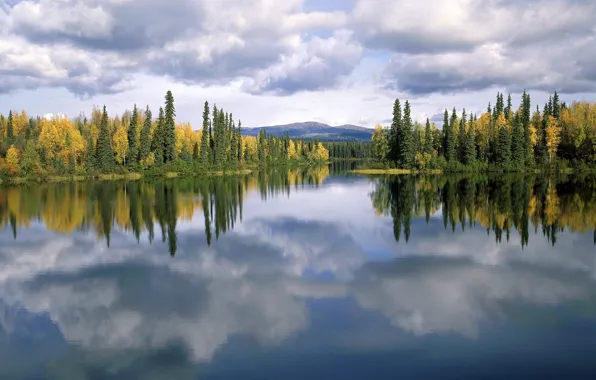 Lake, reflection, Trees