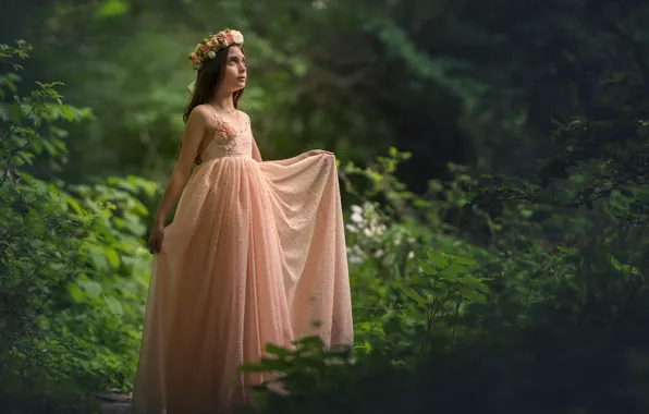 Picture forest, mood, dress, girl, wreath