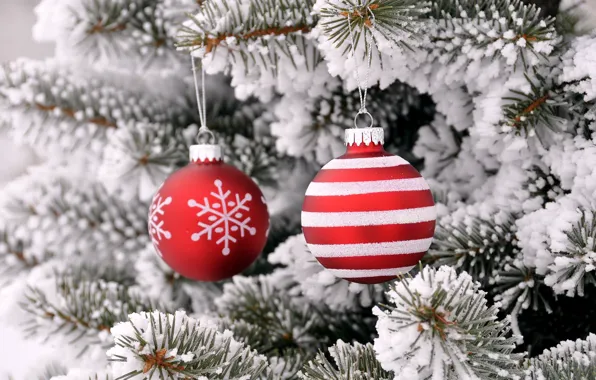 Balls, snow, toys, tree, new year, Christmas, spruce, decoration