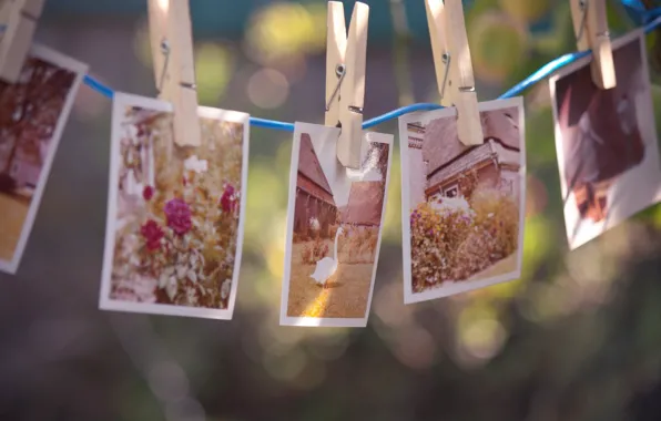 Picture flowers, memories, house, bird, rope, photos, clothespins, goose