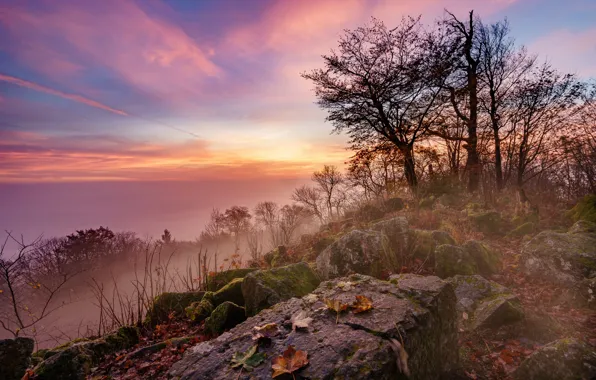 Picture autumn, trees, landscape, mountains, nature, stones, dawn, morning