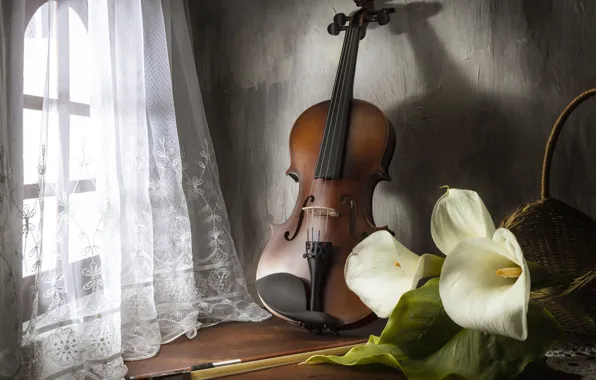 Light, flowers, music, table, wall, violin, bouquet, window