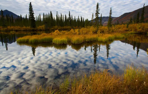 Picture the sky, clouds, trees, mountains, lake