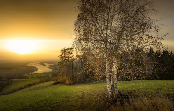 Picture autumn, forest, the sun, trees, sunset, nature, fog, river