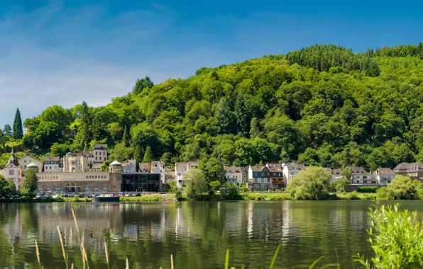 Picture greens, the sky, the sun, trees, river, hills, shore, home