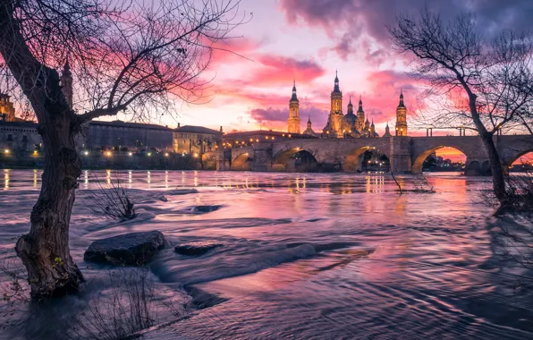 The sky, clouds, trees, sunset, branches, bridge, the city, lights