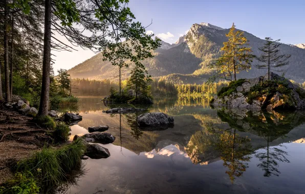 Picture forest, summer, mountains, lake, morning