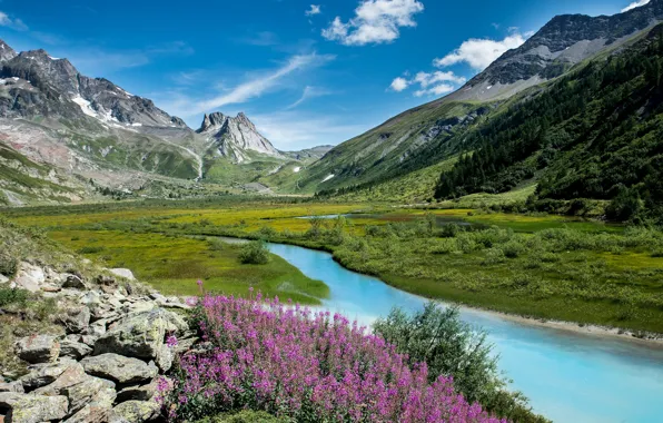 Field, forest, summer, clouds, flowers, mountains, river, blue