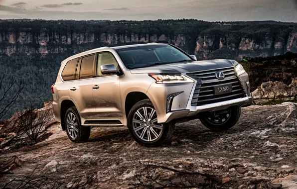 Picture Lexus, SUV, Lexus