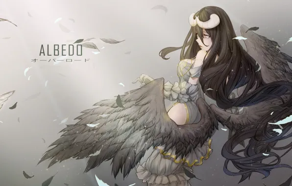 Picture girl, the demon, Overlord, The Lord, Albedo