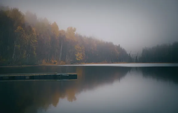 Picture autumn, forest, the sky, clouds, trees, landscape, nature, fog