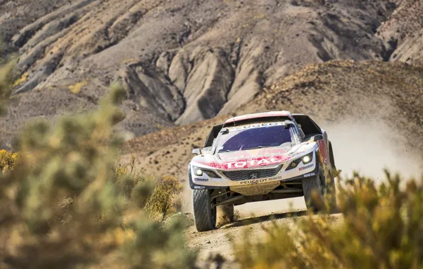 Sport, Speed, Race, Dirt, Peugeot, Lights, Red Bull, Rally