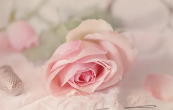 Rose, needle, fabric, needle