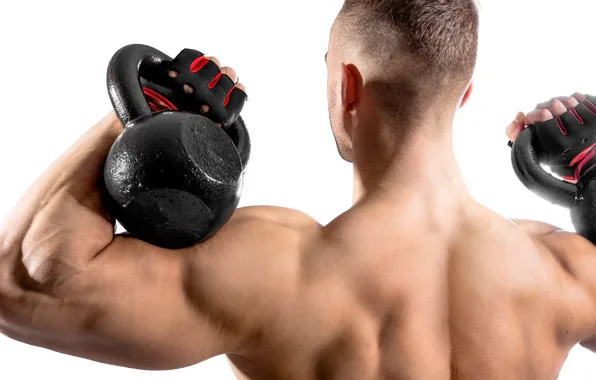 Back, gloves, fitness, muscle, muscle, weight, training, athlete