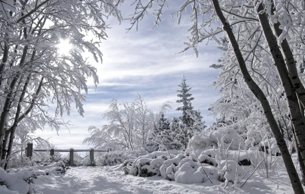 For Lita, winter landscape, romance winter, snow covered trees