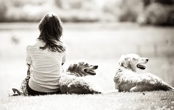 Dogs, nature, white, Girl, girl, black, dogs