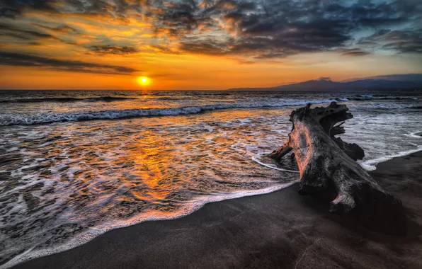 Sea, sunset, surf, snag